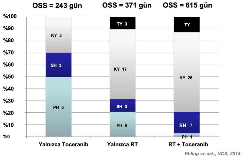 Toceranib: Güncel Literatür ve Tedavi Önerilerine Ilişkin – görsel 7