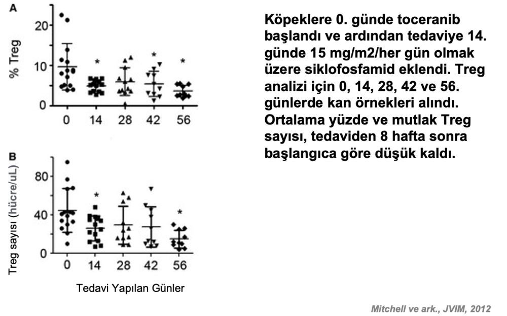 Toceranib: Güncel Literatür ve Tedavi Önerilerine Ilişkin – görsel 14