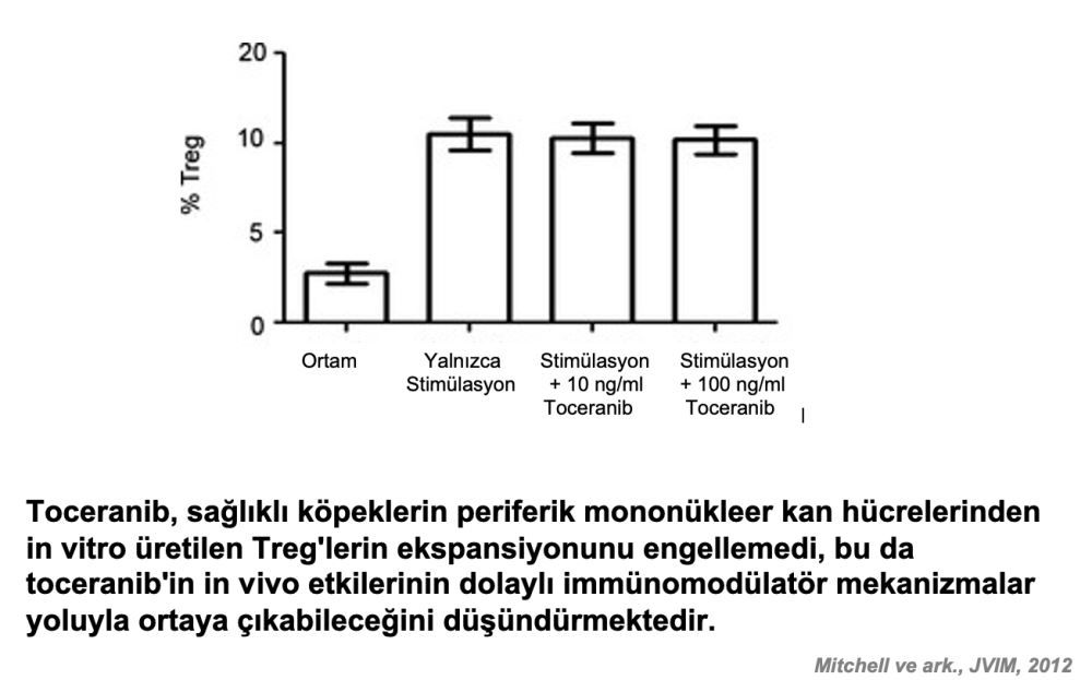 Toceranib: Güncel Literatür ve Tedavi Önerilerine Ilişkin – görsel 15