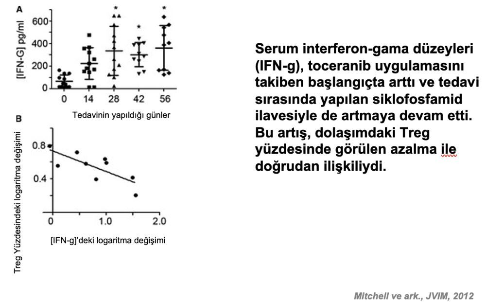 Toceranib: Güncel Literatür ve Tedavi Önerilerine Ilişkin – görsel 16