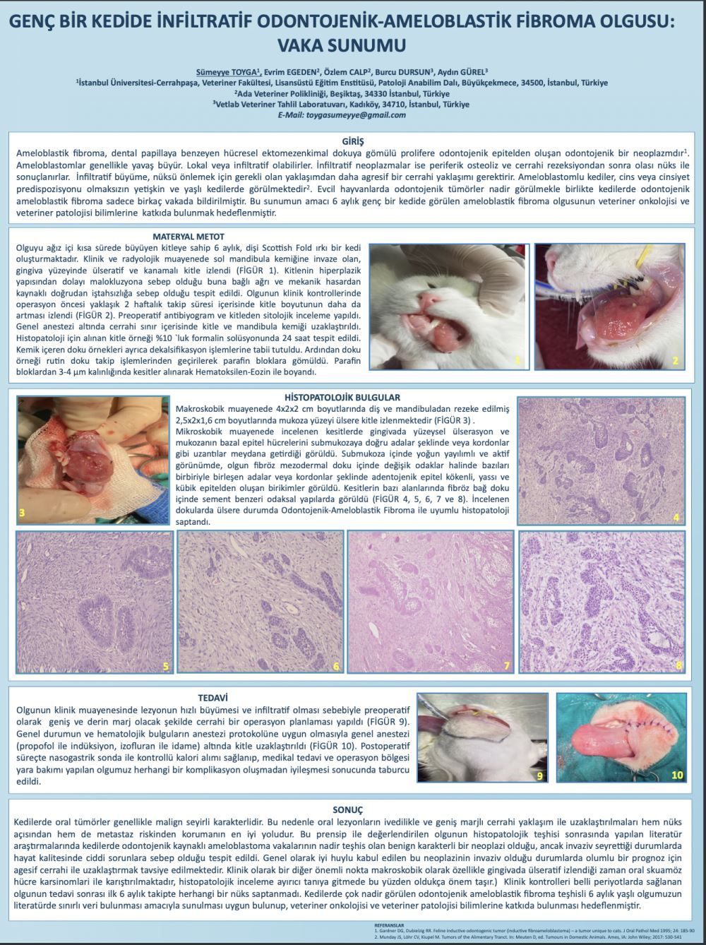 Genç Bir Kedide İnfiltratif Odontojenik-Ameloblastik Fibroma – görsel 7
