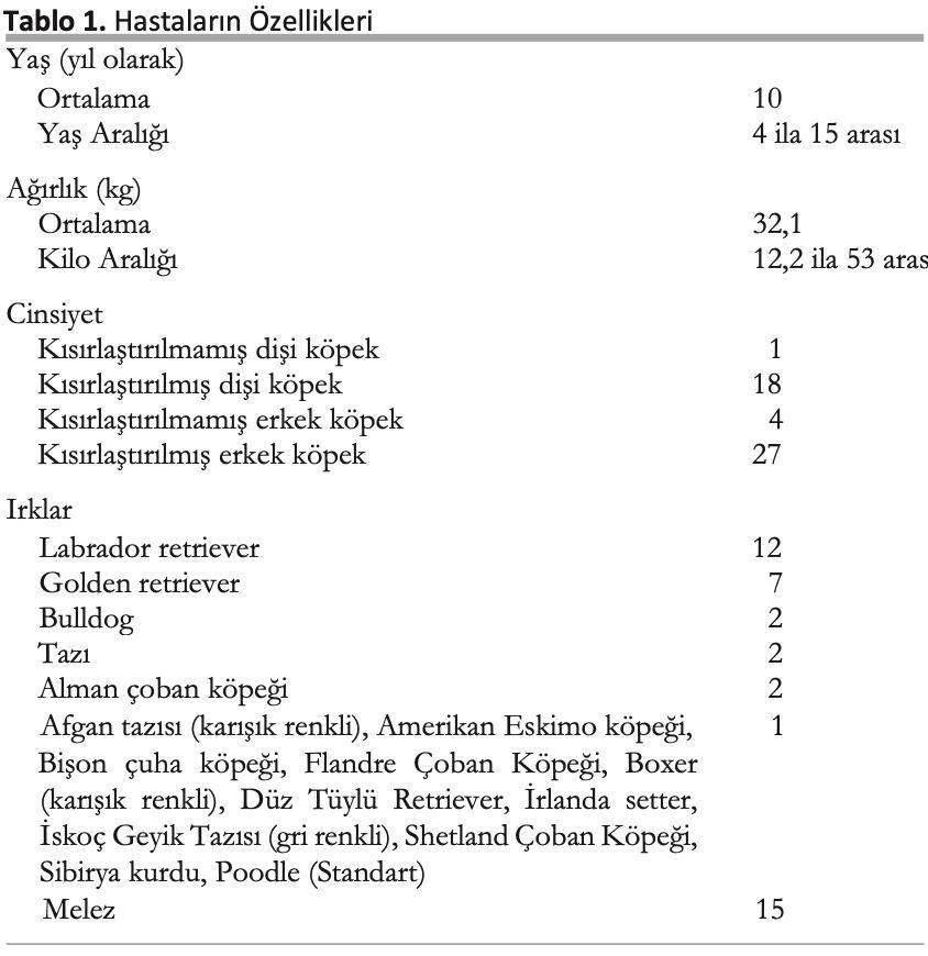 Doğal Sebeplerden Ötürü Kanser Olan Köpeklerde Kronik Olarak – görsel 1