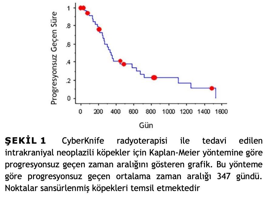 Köpeklerde Primer Intrakraniyal Tümörlerin Tedavisinde – görsel 1