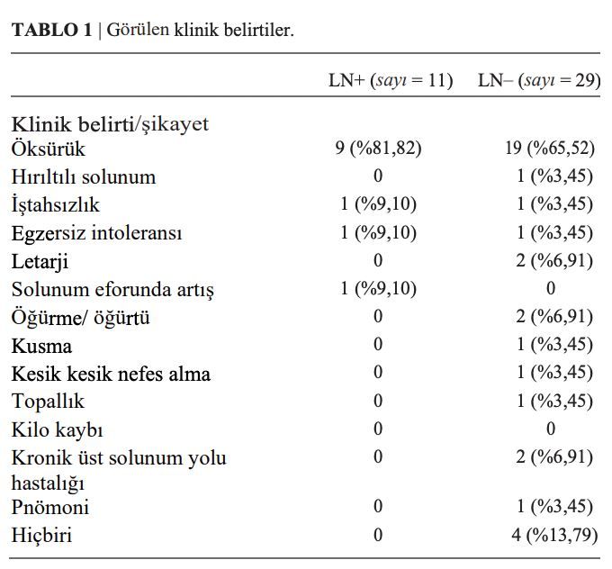Primer Akciğer Tümörlü Köpeklerde Sağkalım Üzerine Güncel – görsel 1
