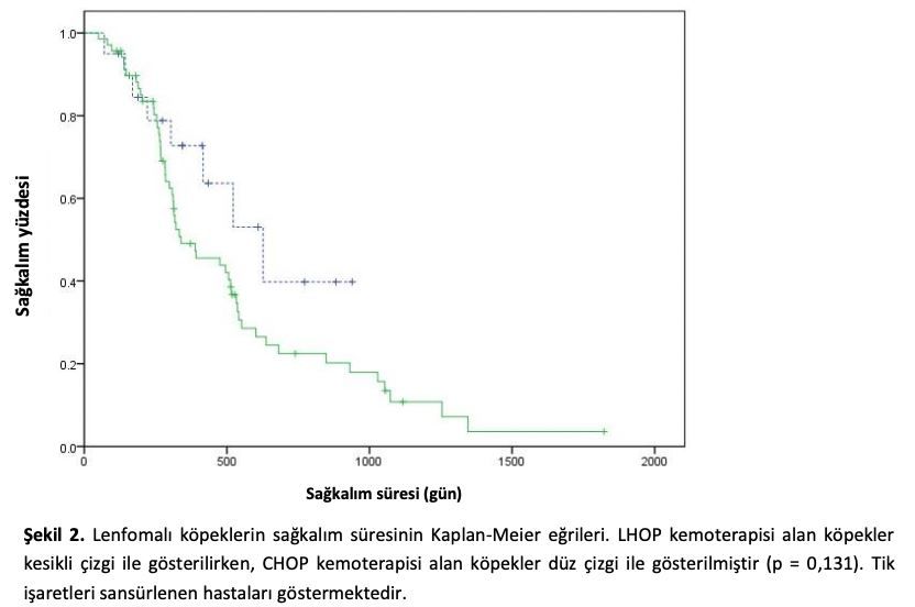 Multisentrik Lenfomalı Köpeklerde İlk Basamak Tedavi Olarak – görsel 5