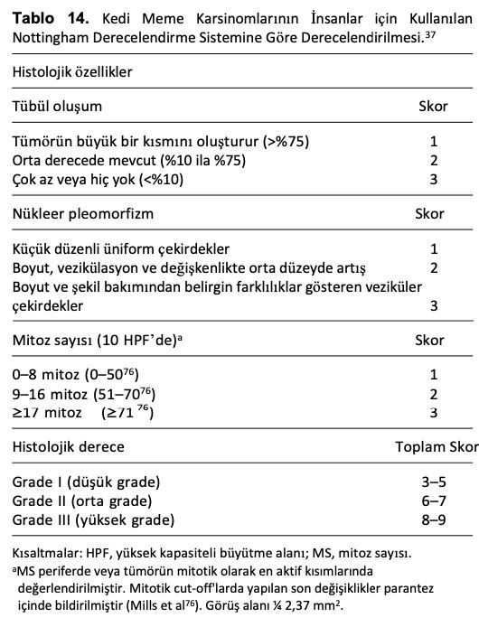 Veteriner Hekimlikte Histolojik Derecelendirme Sistemlerinin – görsel 13