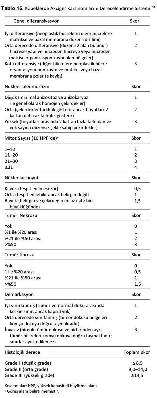Veteriner Hekimlikte Histolojik Derecelendirme Sistemlerinin – görsel 15