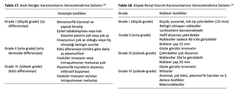 Veteriner Hekimlikte Histolojik Derecelendirme Sistemlerinin – görsel 16