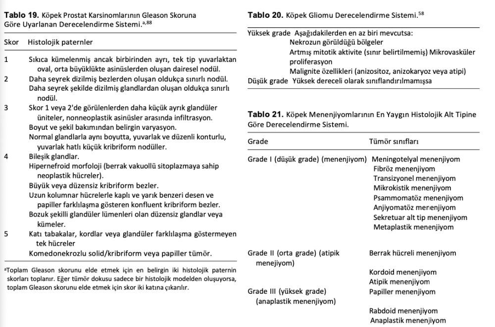Veteriner Hekimlikte Histolojik Derecelendirme Sistemlerinin – görsel 17