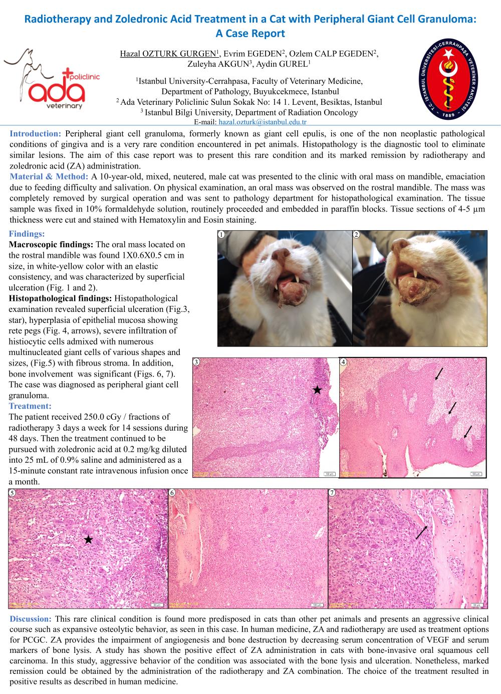 Radiotherapy and Zoledronic Acid Treatment in a Cat with Peripheral