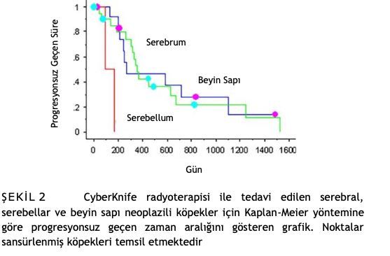 Köpeklerde Primer Intrakraniyal Tümörlerin Tedavisinde – görsel 4