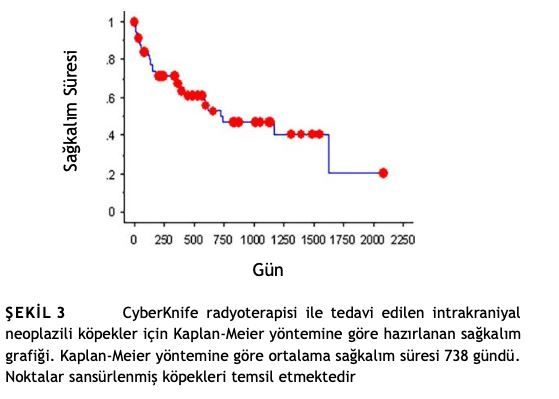 Köpeklerde Primer Intrakraniyal Tümörlerin Tedavisinde – görsel 5