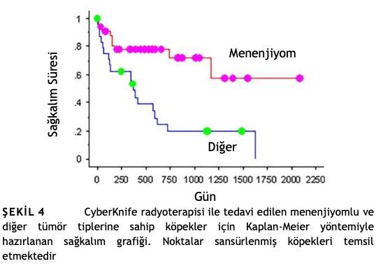 Köpeklerde Primer Intrakraniyal Tümörlerin Tedavisinde – görsel 6