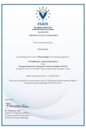 Haematology Certificate - Haematology Online Course, 24 - 28 Apr 2023