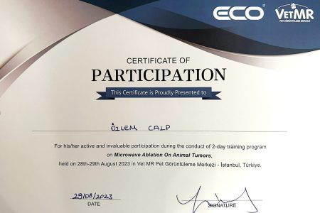 ozlem-calp-sertifika ozlem-calp-sertifika