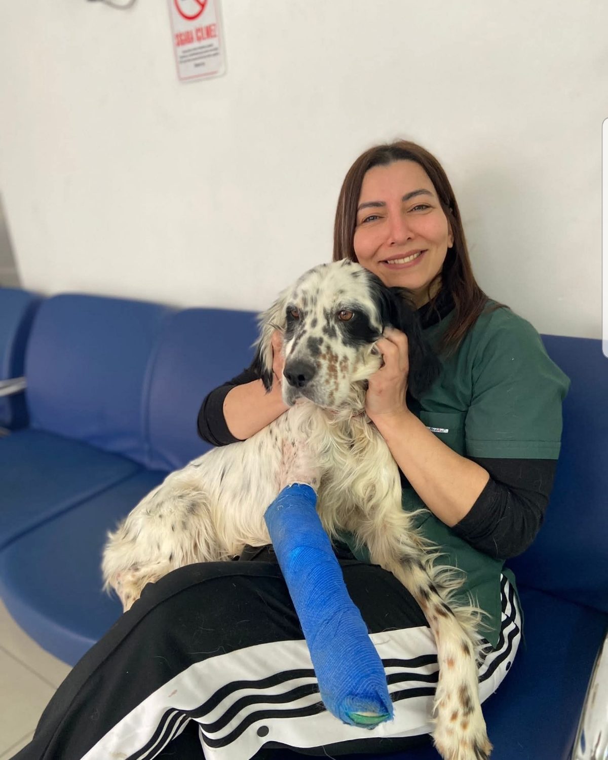 Veteriner Teknikeri Mehtap Dağ